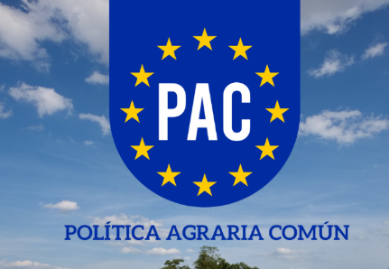 pac pac